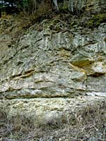 Gobdzinas cliffs, all layers